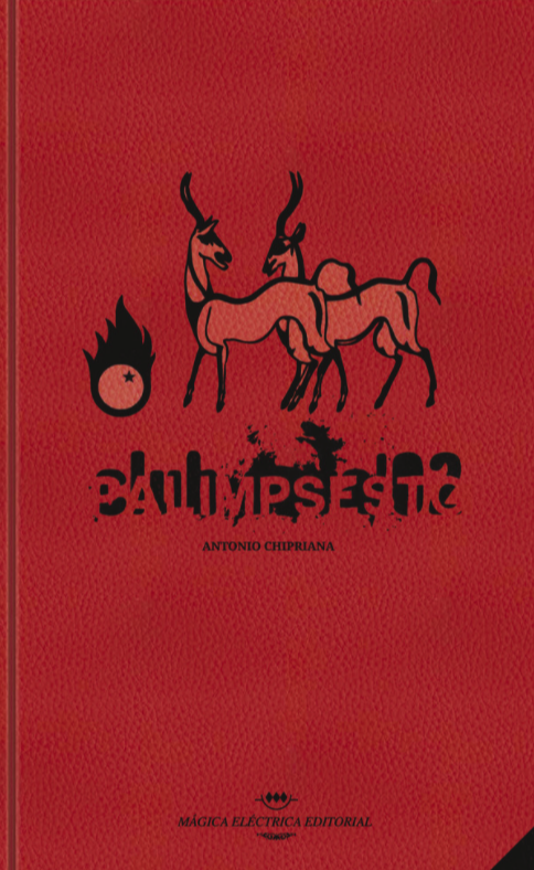 Palimpsesto_libro